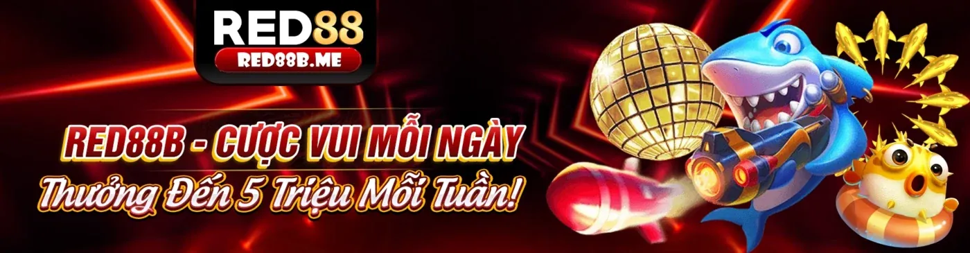 Hướng dẫn cá cược thể thao okchoi nổ hũ